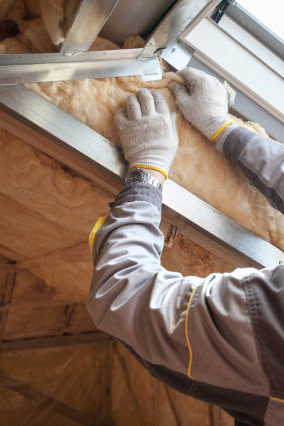 Best Insulation Repair Services  in Lake Carmel, NY