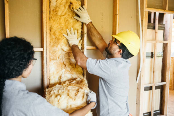 Best Best Insulation Companies  in Lake Carmel, NY