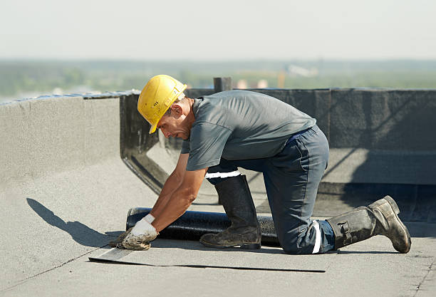Best Insulation Contractor Near Me  in Lake Carmel, NY